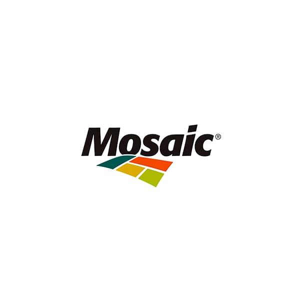 Cliente TMSA Mosaic